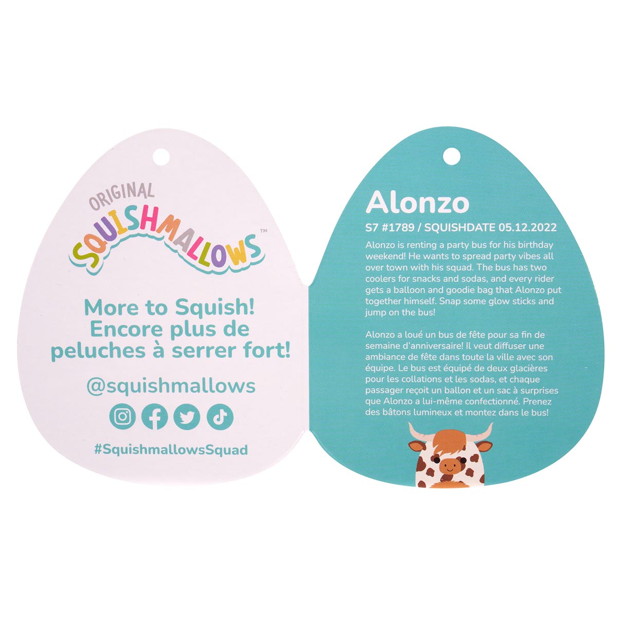 Alonzo the Brown Spotted Highland Cow