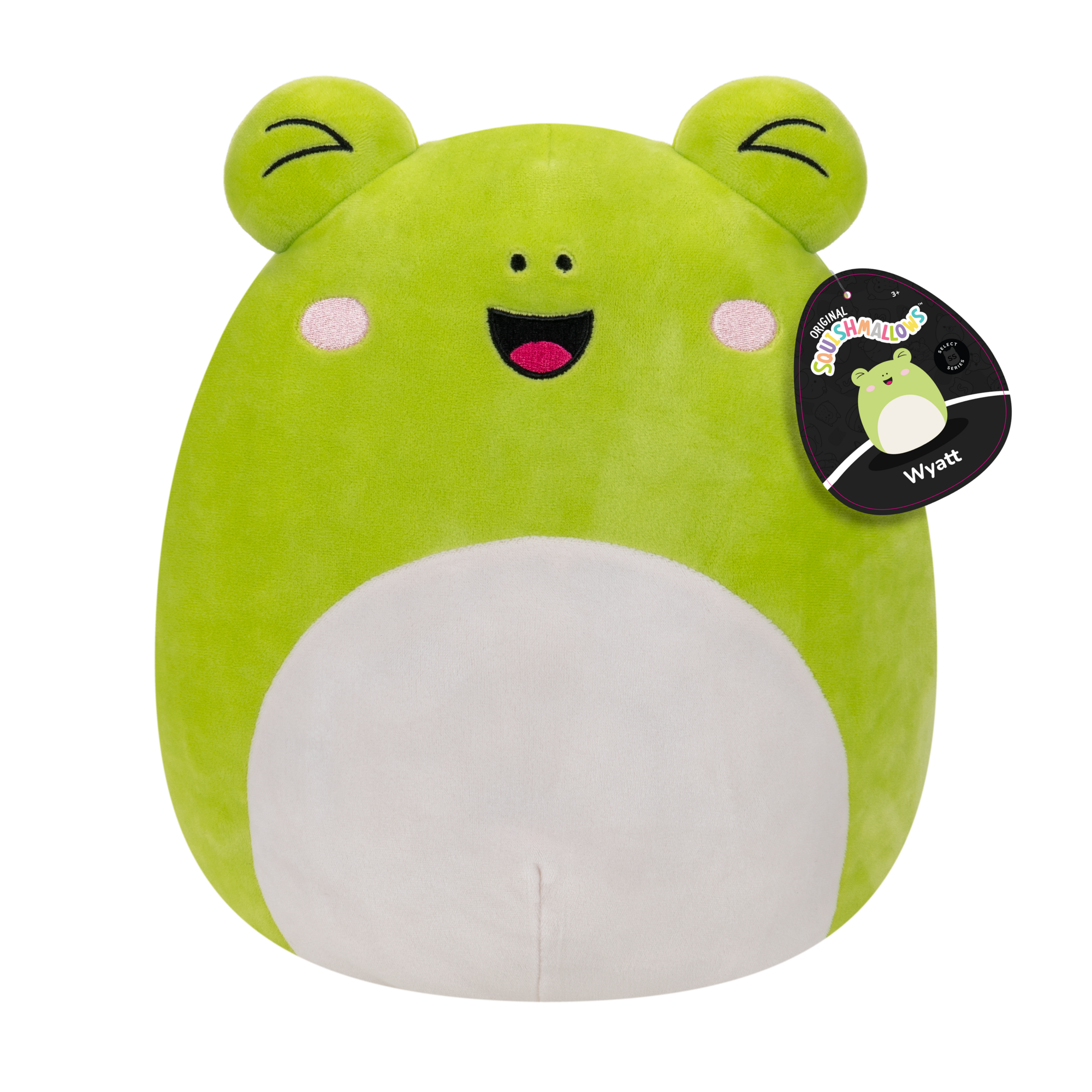 12-Inch Select Series: Wyatt the Frog
